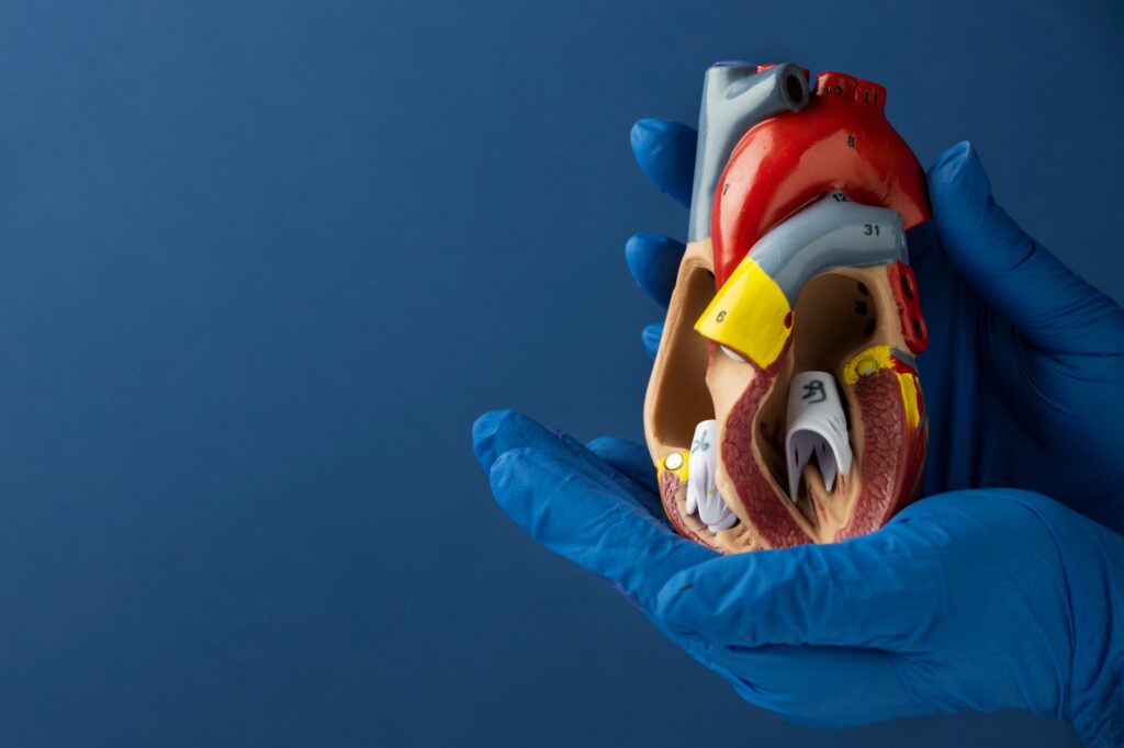 Heart Surgeon in Bardoli